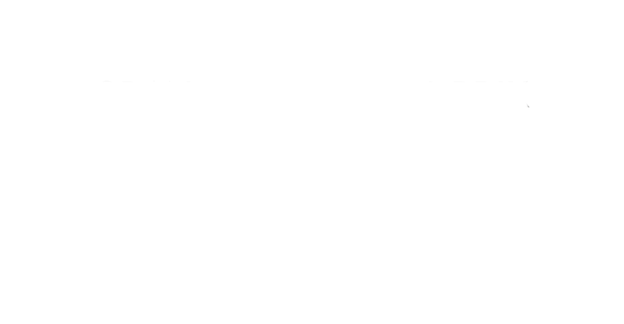 New Images Festival — Official Selection