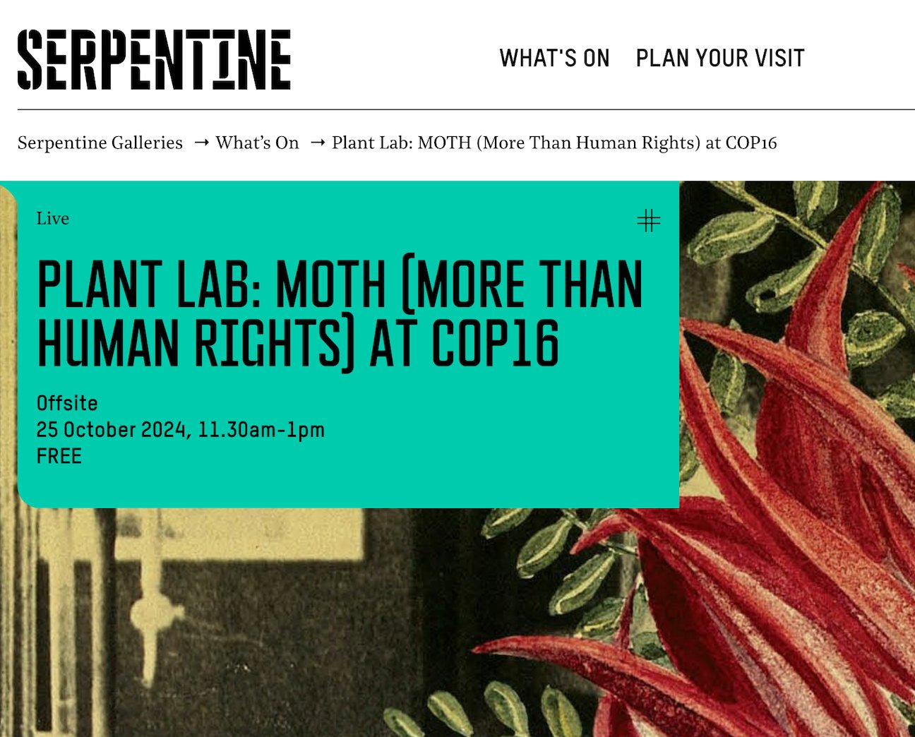 Serpentine