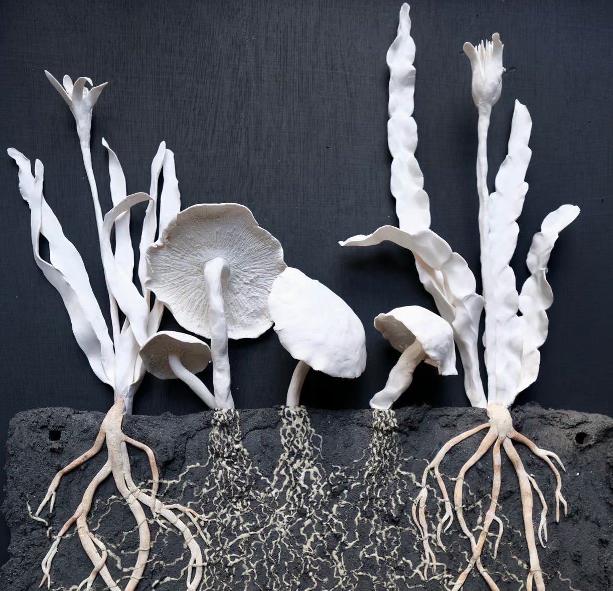 SOIL: The World at Our Feet, Somerset House